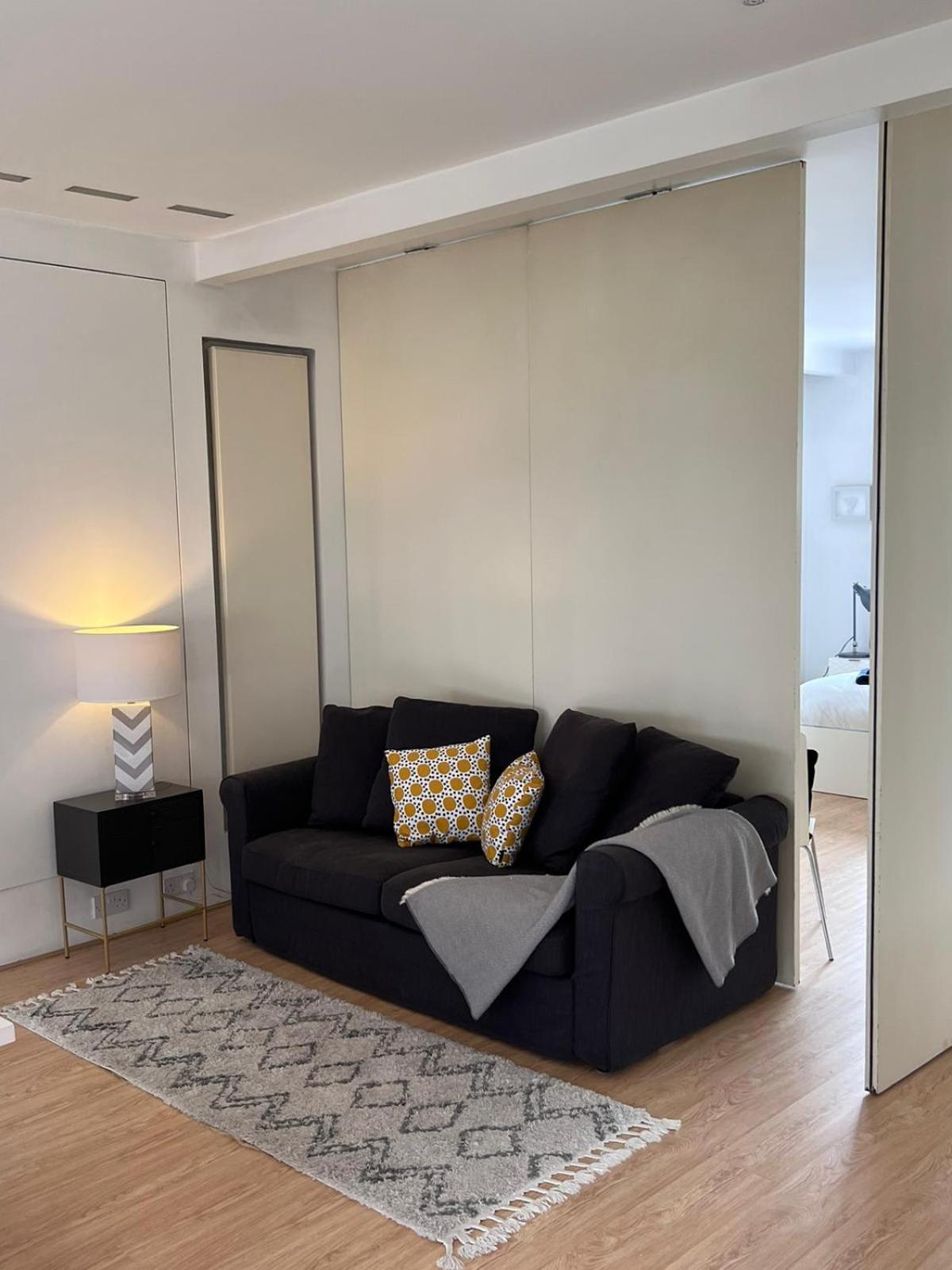 לונדון Luxury Apartment In Belsize Park מראה חיצוני תמונה